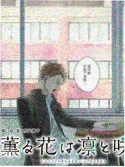 猜你想找 下饭综艺 巴巴鱼影视
